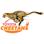 Cheetahs